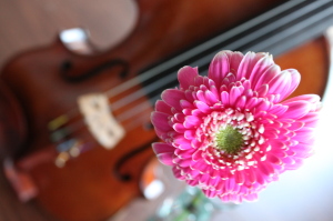 演奏依頼、音楽教室